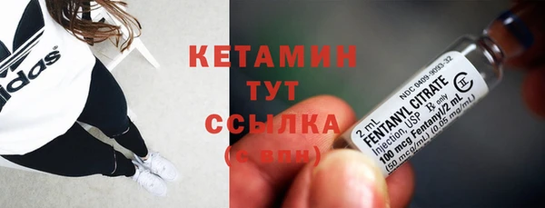 крисы Надым