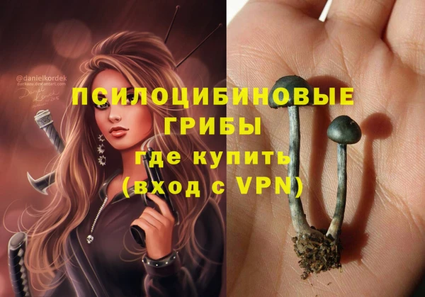 прущие грибы Михайловка