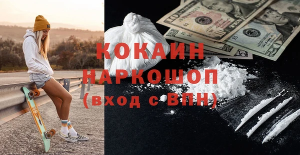 крисы Надым