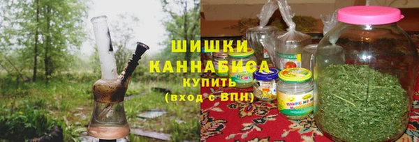 крисы Надым