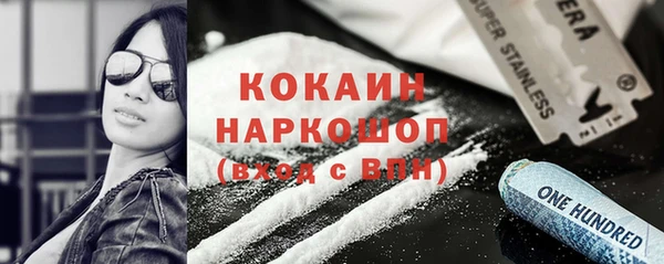 крисы Надым