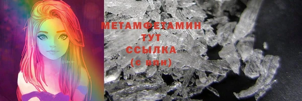 прущие грибы Михайловка